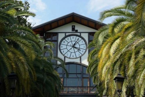 Символ гагры ресторан гагрипш. 03