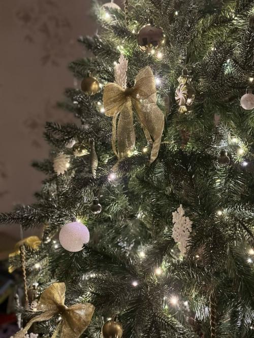 В преддверии нового года улицы городов наполняются огнями и праздничной музыкой, а дома постепенно превращаются в маленькие зимние сказки.