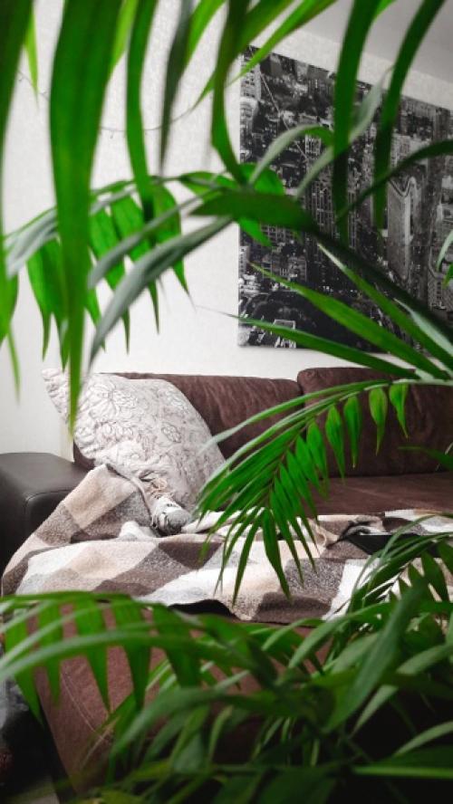 Мне показалось, что маме не совсем удобно. 04