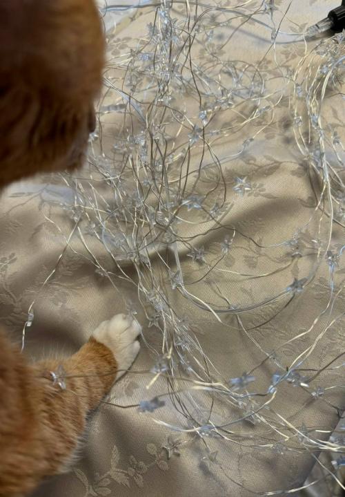 Первый новый год без моего любимого кота рыжули. 01 Первый новый год без моего любимого кота рыжули. 01