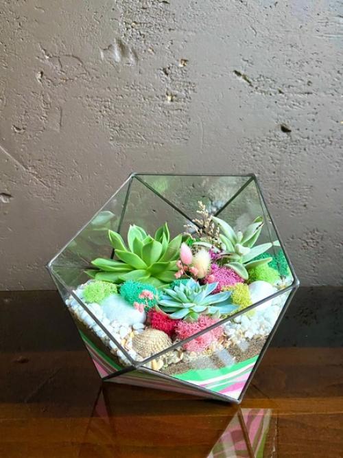 Флорариумы по заказу соберем. 07