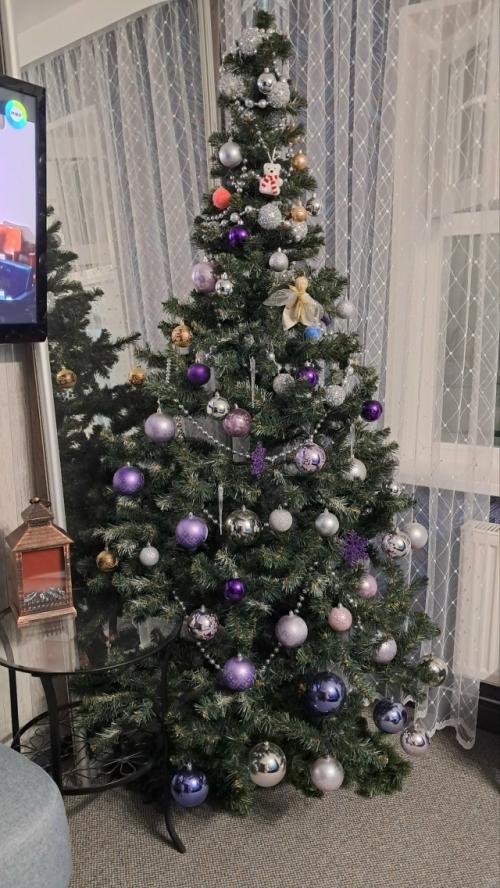 С приближением нового года появляются первые признаки праздника: улицы светятся гирляндами, а дома начинают наполняться ароматом хвои.  