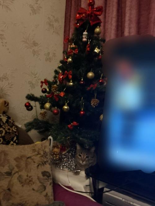 Пока декабрь идёт к своему завершению, в воздухе всё сильнее ощущается приближение нового года.  