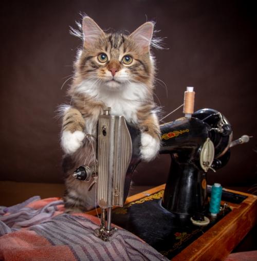 Швейную машину продам! 05