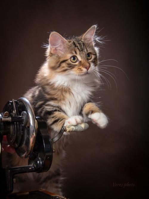 Швейную машину продам! 04