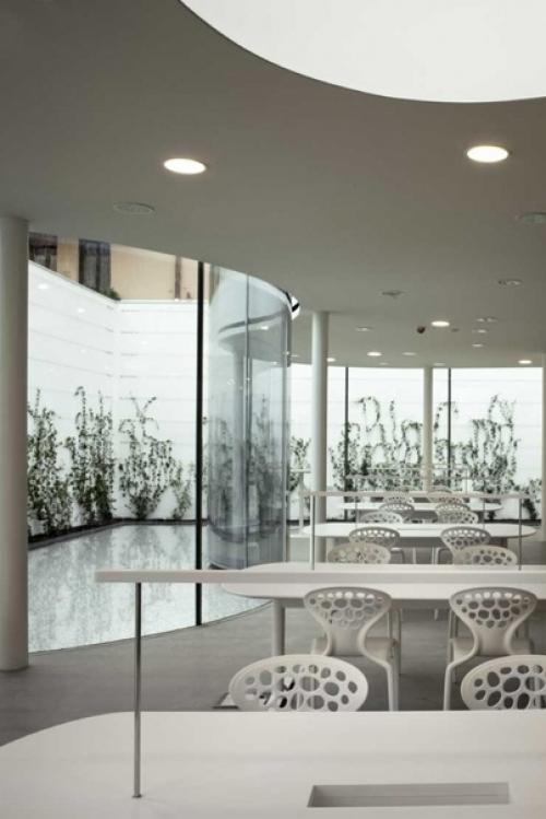 Прозрачное здание за высокой стеной. 05