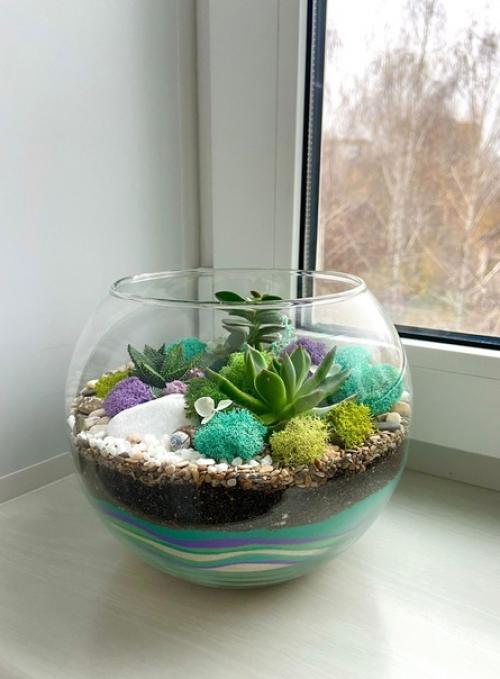 Флорариумы по заказу соберем. 04