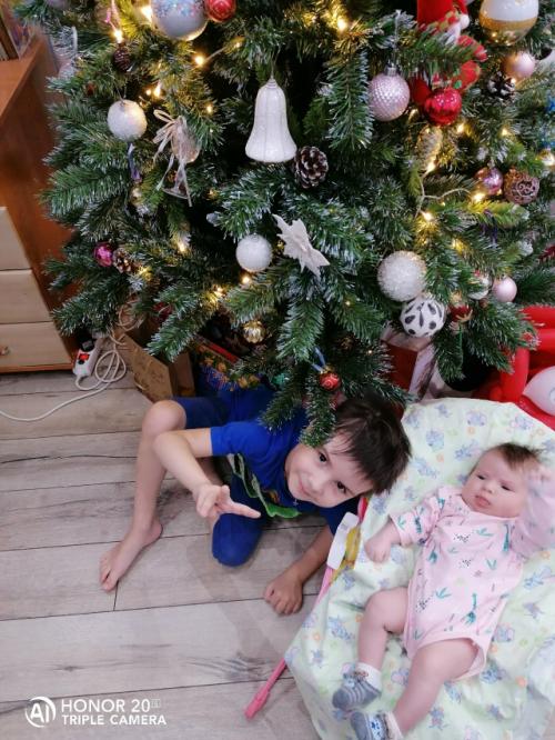 Почему я передумала покупать новую елку? 02 Почему я передумала покупать новую елку? 02