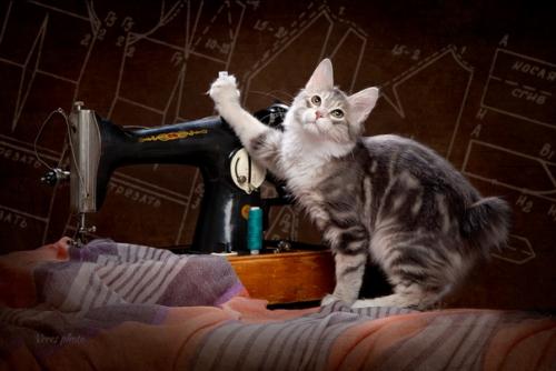 Швейную машину продам! 01