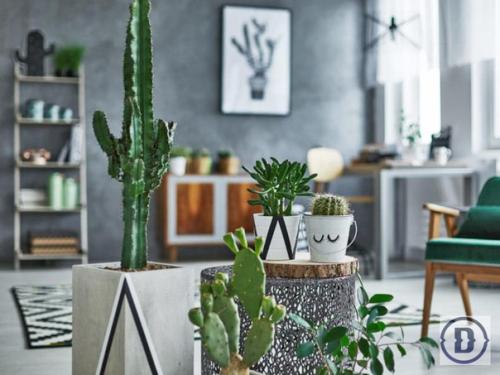 Интерьерные антритренды 2018 и чем их заменить? 02