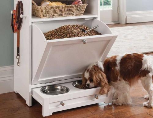 Как обустроить интерьер, если в доме есть животные? 01