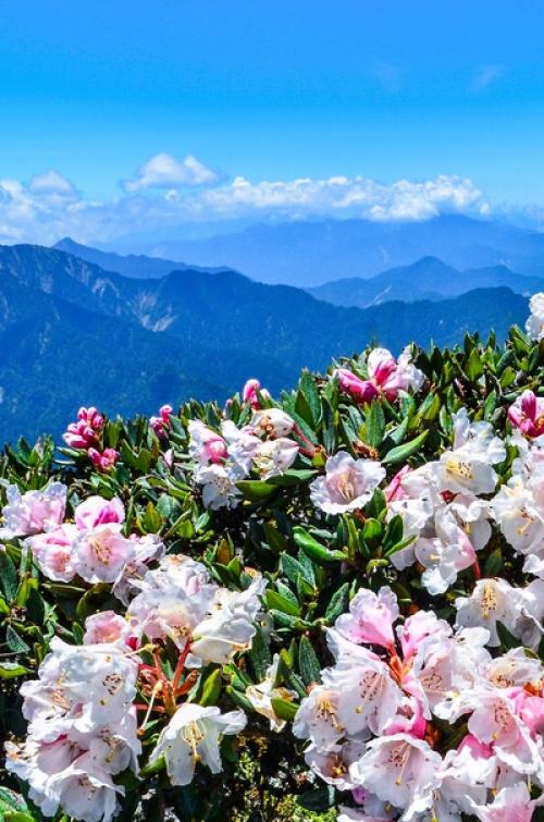 Веселый бубенчик, напоминающий музыку ветра, яркие цвета, игра контрастов - все это не сон, а новинка весенней коллекции украшений для дома. 01