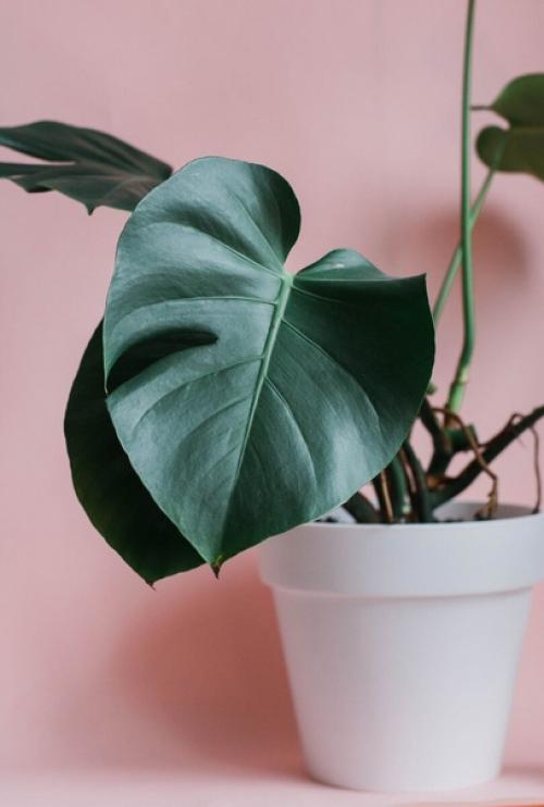 Как создать идеальную спальню в стиле бохо. 04