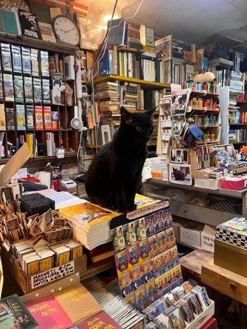 Популярный книжный магазин в Венеции Libreria Acqua Alta. 05