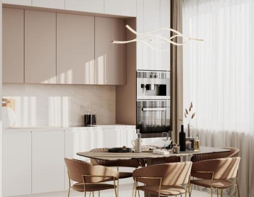 Проект кухни - гостиной (25, 1 кв. 01