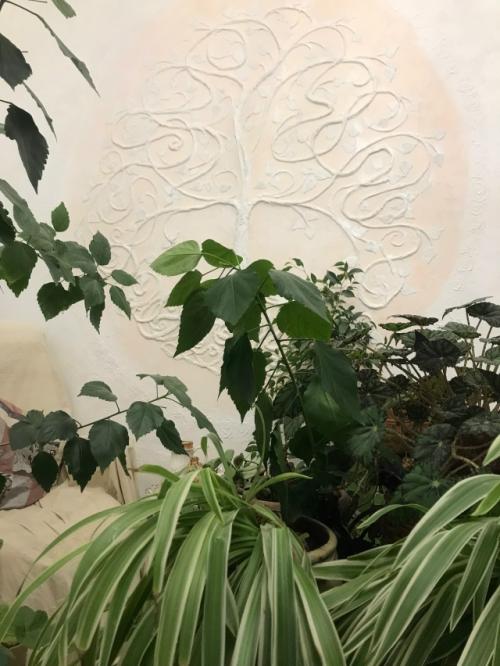 У меня в квартире появилось волшебное пространство! 08