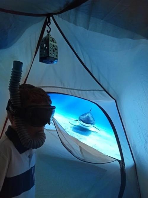 Певица Максим потихоньку оправилась после аварии, сейчас её уже лучше. 06