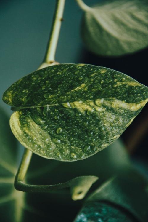 Как создать идеальную спальню в стиле бохо. 06