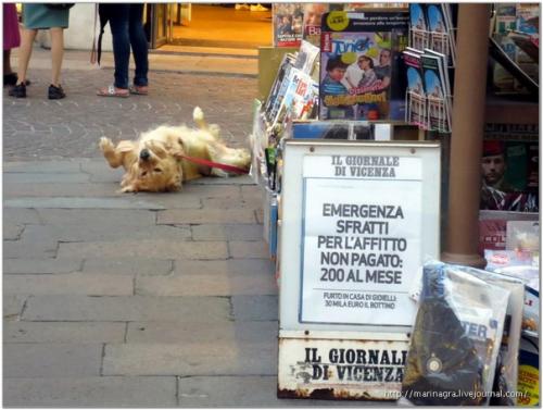 Виченца (Vicenza).  Виченца - крупный город в итальянском регионе венето, центр одноименной провинции. 07