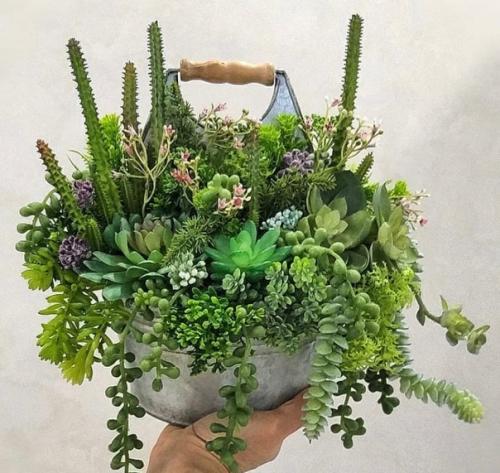 Зеленый уголок из суккулентов и кактусов. 04 Зеленый уголок из суккулентов и кактусов. 04