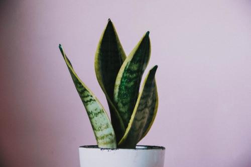 Как создать идеальную спальню в стиле бохо. 03