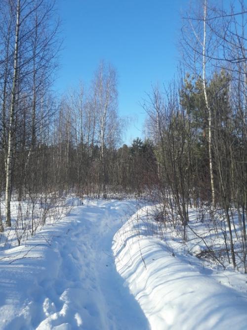 В объятиях матушки - природы. 02 В объятиях матушки - природы. 02