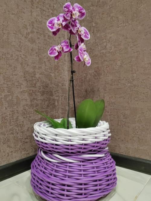 Кашпо плетёное из полиротанга - стильная деталь, котораяа впишется в любой интерьер и привлечёт к себе внимание. 01