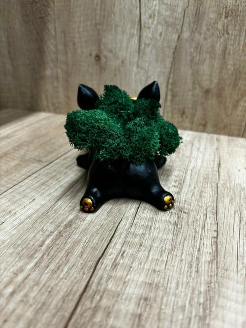 Элегантное или даже брутальное кашпо со стабилизированным мхом в виде добродушного бульдога станет настоящим украшением вашего интерьера! 02