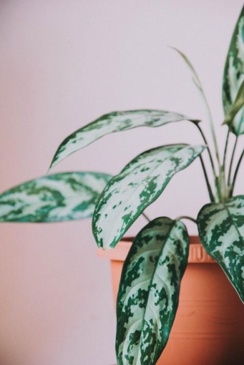 Как создать идеальную спальню в стиле бохо. 08