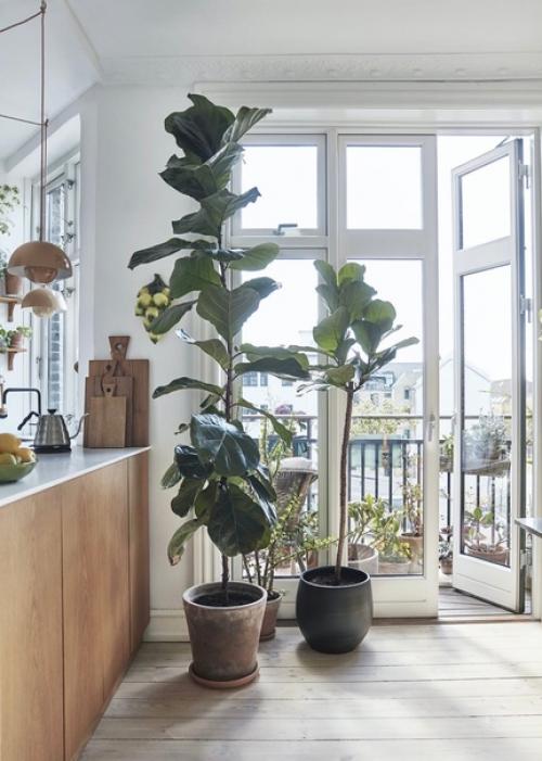 Светлая скандинавская квартира площадью менее 50 м 2 в Дании. 06