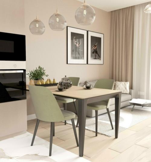 Проект квартиры - студии 28, 8 м 2 (34, 5 м 2 с балконом) в ЖК ренессанс во Владивостоке. 03