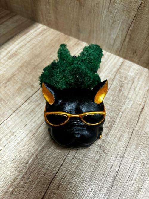 Элегантное или даже брутальное кашпо со стабилизированным мхом в виде добродушного бульдога станет настоящим украшением вашего интерьера! 03