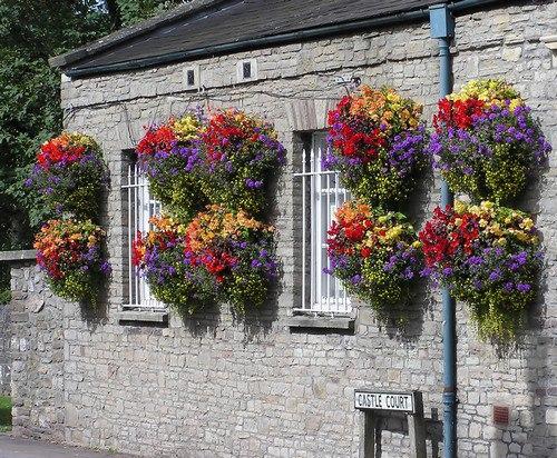 Специфика посадки подвесных клумб. 08