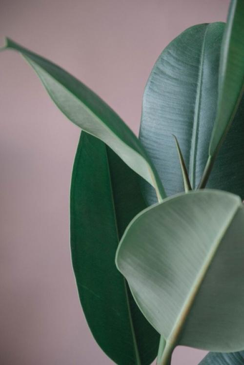 Как создать идеальную спальню в стиле бохо. 05