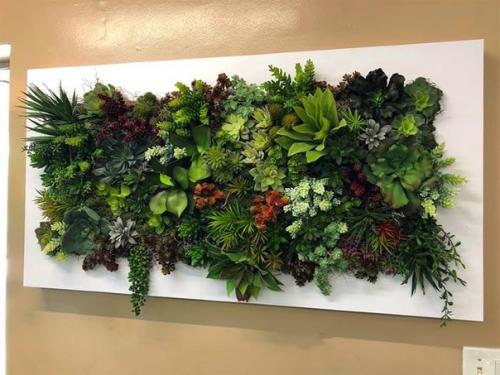 Зеленый уголок из суккулентов и кактусов. 01 Зеленый уголок из суккулентов и кактусов. 01