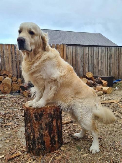 Некоторые считают, что жить в частном доме хорошо только летом, а зимой комфортнее находиться в квартирах. 03 Некоторые считают, что жить в частном доме хорошо только летом, а зимой комфортнее находиться в квартирах. 03