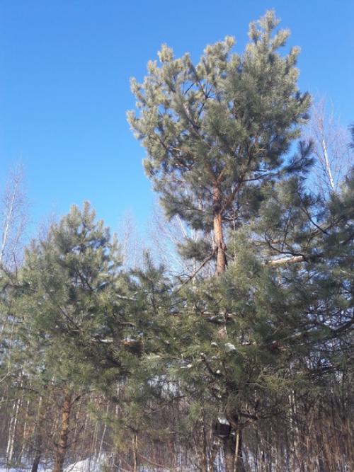 В объятиях матушки - природы. 01 В объятиях матушки - природы. 01