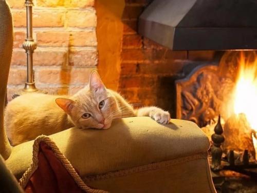 Некоторые считают, что жить в частном доме хорошо только летом, а зимой комфортнее находиться в квартирах. 02 Некоторые считают, что жить в частном доме хорошо только летом, а зимой комфортнее находиться в квартирах. 02