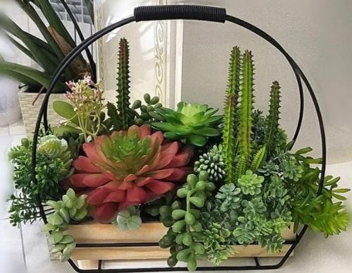 Зеленый уголок из суккулентов и кактусов. 03 Зеленый уголок из суккулентов и кактусов. 03