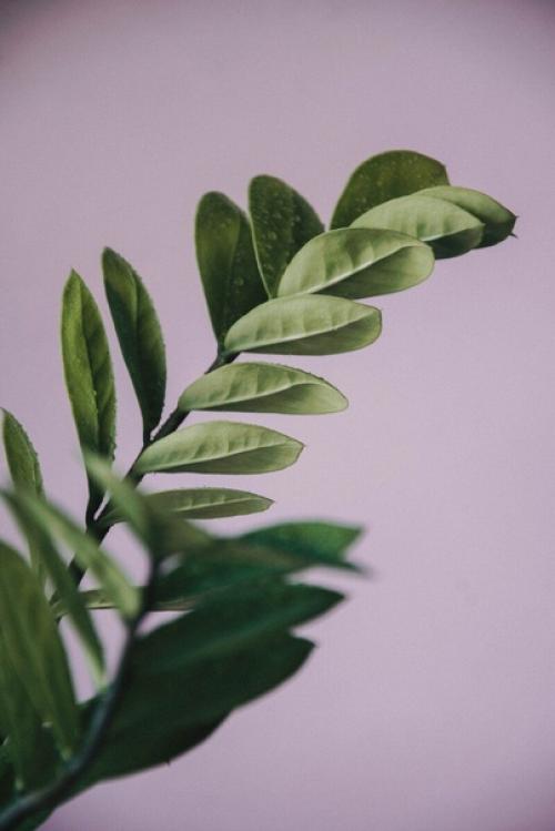 Как создать идеальную спальню в стиле бохо. 02