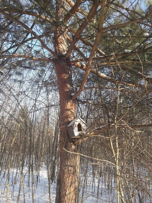 В объятиях матушки - природы. 03 В объятиях матушки - природы. 03