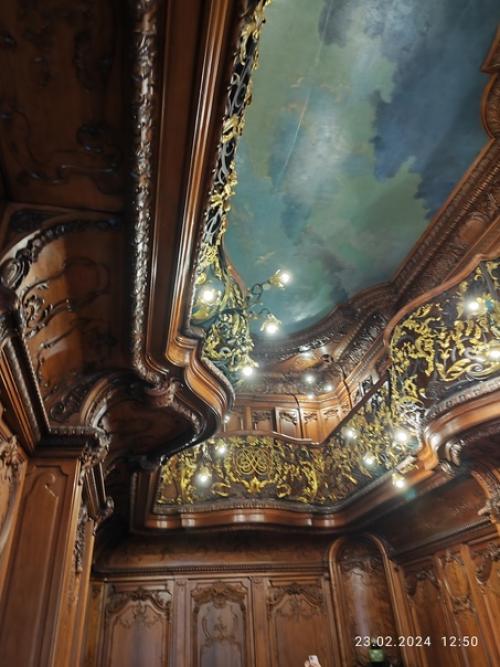 Сразу скажу, что от экскурсии по интерьерам дворца половцова, осталось просто потрясающее впечатление. 05