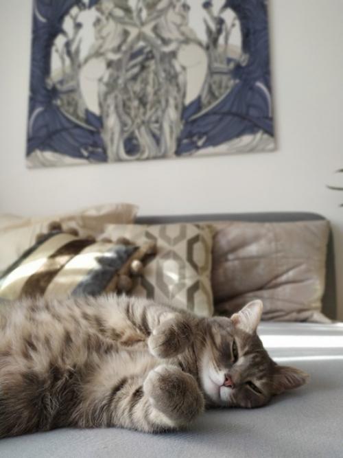 У нас наконец - то своя квартира! 09