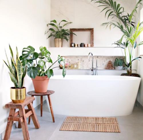 Живые цветы - это не только красивый, но и полезный элемент интерьера. 02