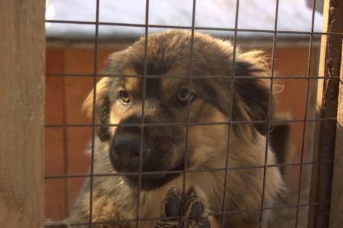 Сегодня мы хотим сказать огромное спасибо команде зоомагазина Зоополис в ТЦ манго? 02