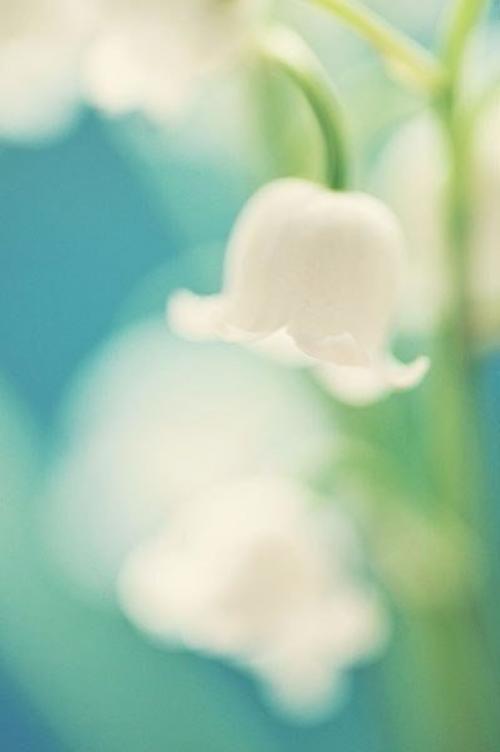 Весна уже к тебе стучится. 03