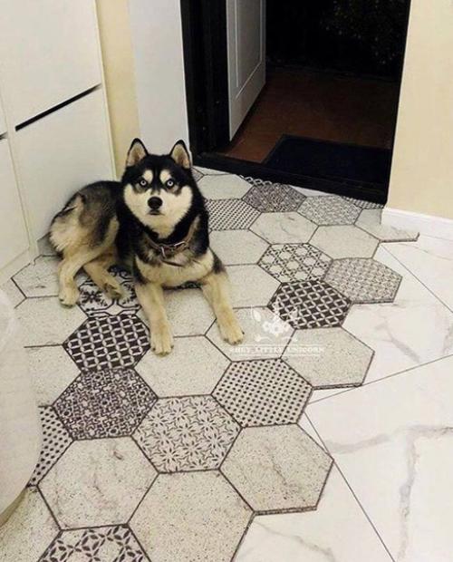 Симпатичные коврики. Для оформления интерьера. 07