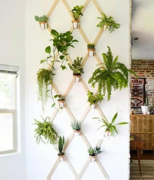 Живые цветы - это не только красивый, но и полезный элемент интерьера. 07