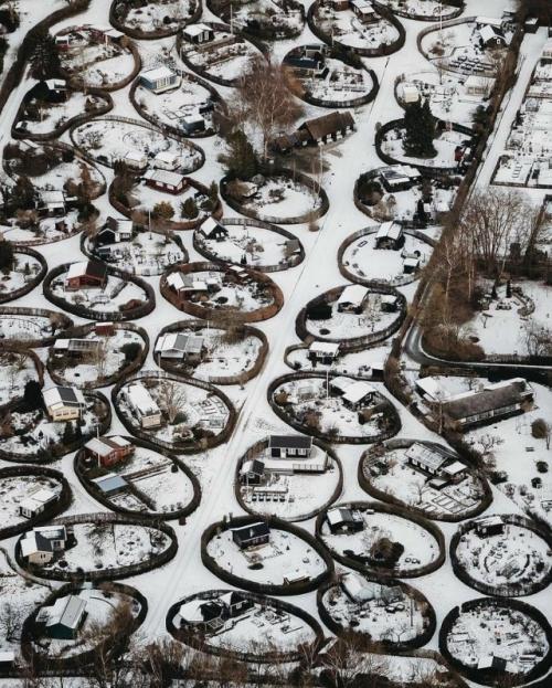 В Дании есть улица, где каждый дом словно спрятан в зелёном кольце.

