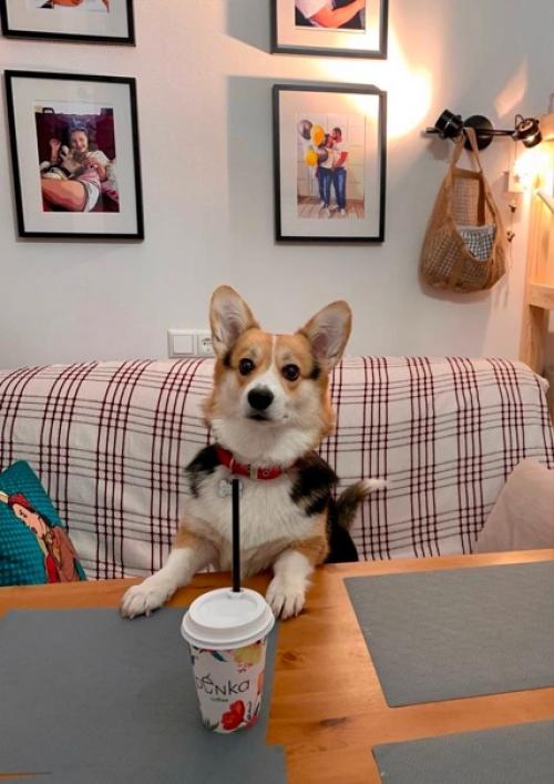 Небольшая кухня. Очень уютная. 03